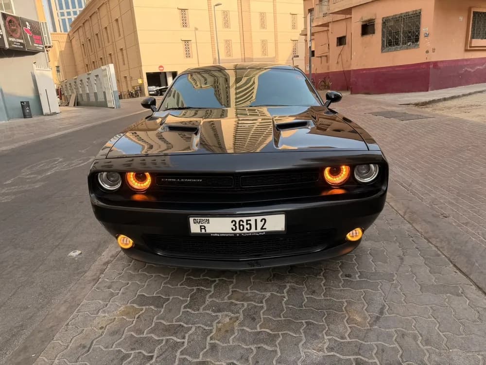 Used Dodge Challenger 3.6L SXT 2019