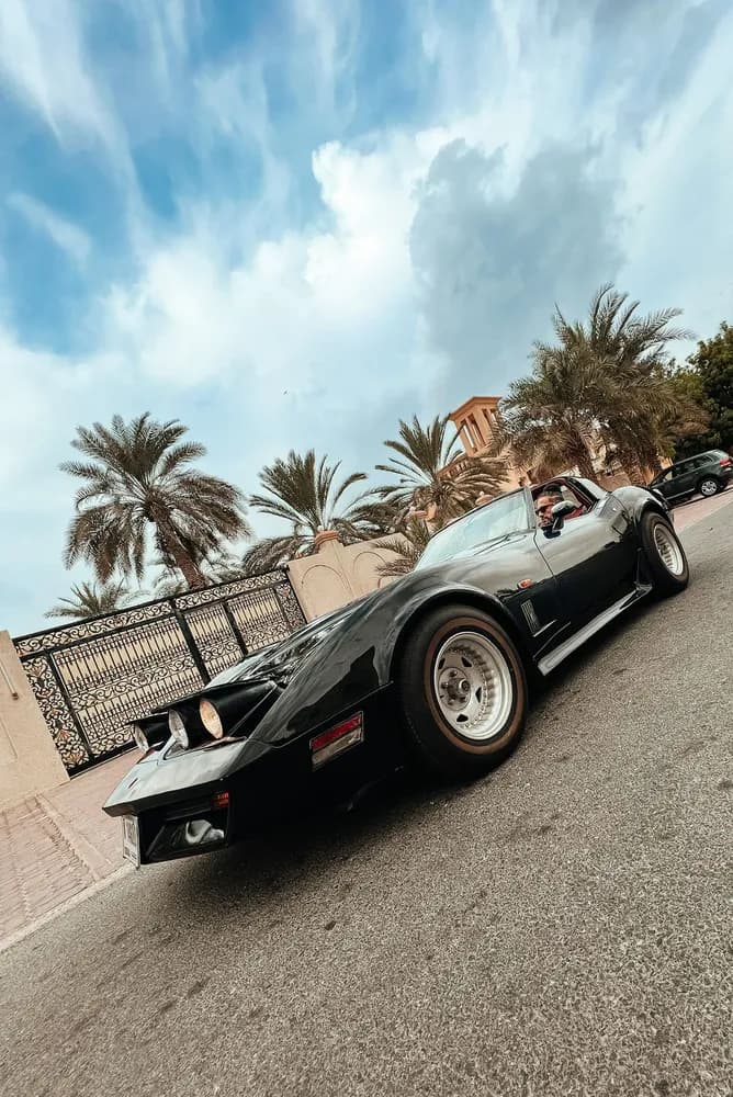 Used Chevrolet Corvette C1 1981