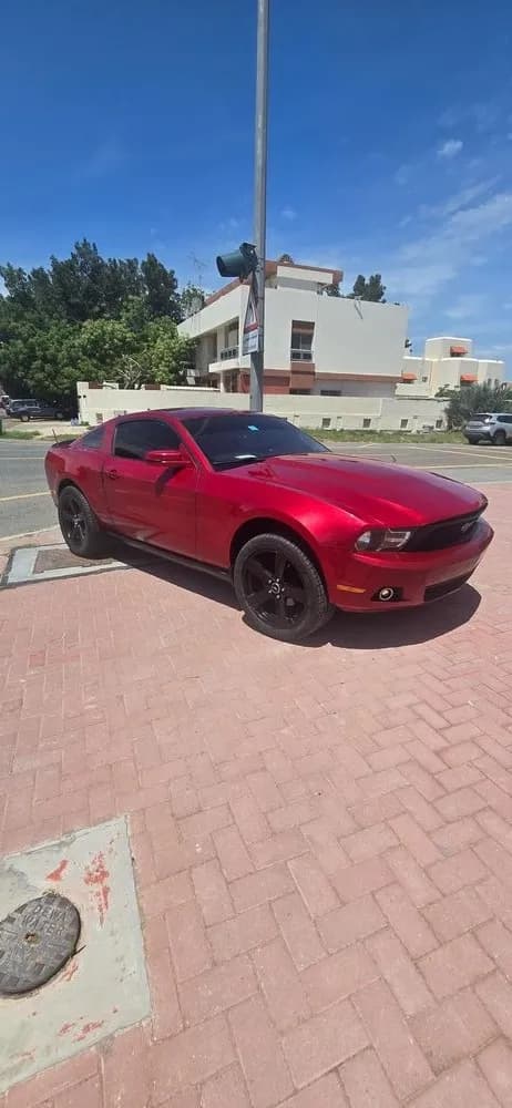 Used Ford Mustang V6 2010