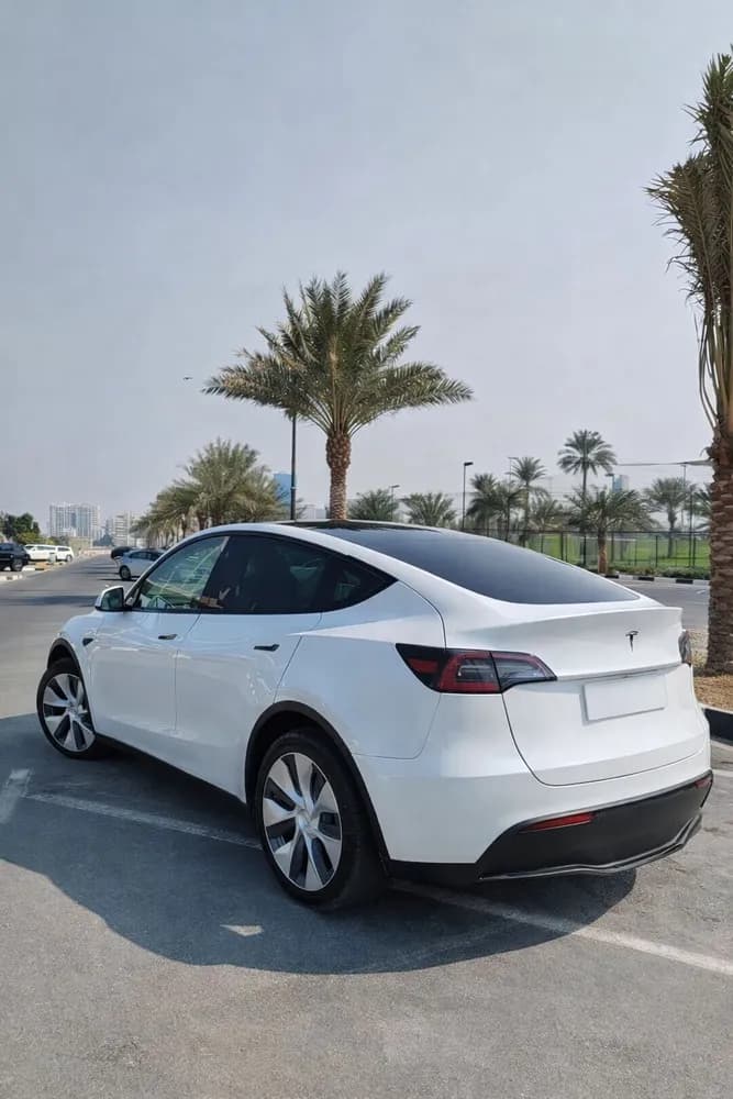 Used Tesla Model Y Long Range (AWD) 2023 Used Tesla Model Y Long Range (AWD) 2023 used_cars.forSale