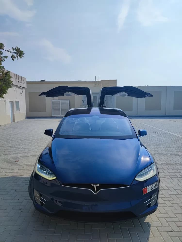 Used Tesla Model X 100D 2018