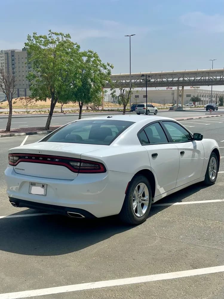 Used Dodge Charger 3.6L SXT (Base) 2019 Used Dodge Charger 3.6L SXT (Base) 2019 used_cars.forSale