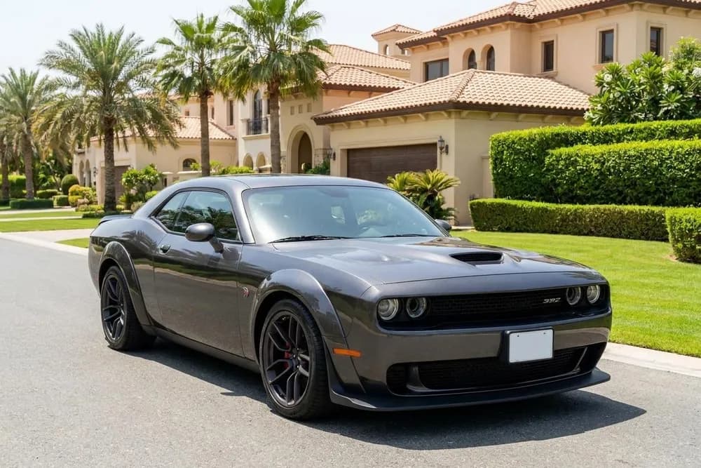 Used Dodge Challenger 2020