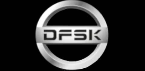 Dfsk dfsk logo